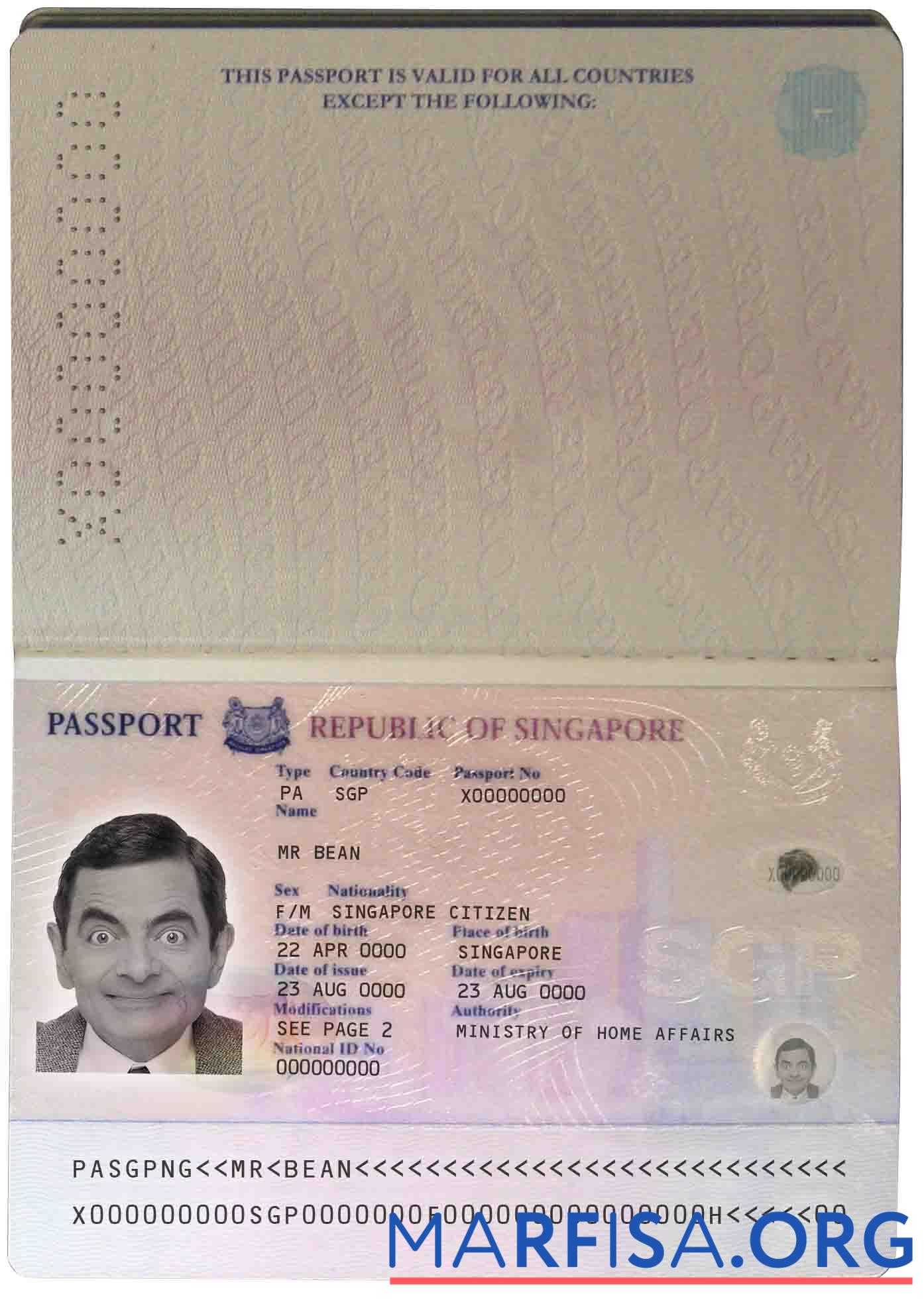 Downloadable Singapore passport (2006 2017) example